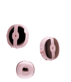 Whispering Vibration Breast Clip Going Out Wireless Remote Control Punishment Massager (Color: Pink)
